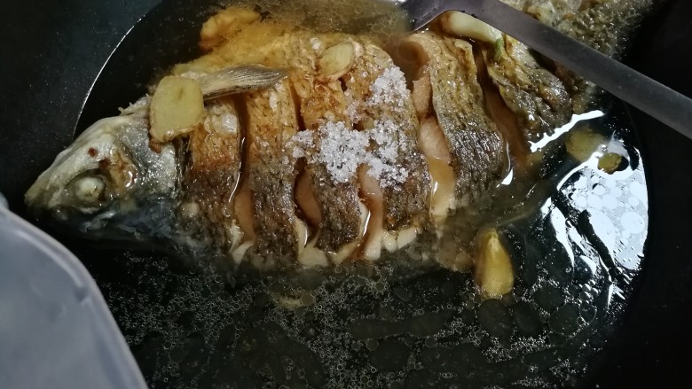 白酒香菜鳊鱼,放入和鳊鱼平齐的温水烧开