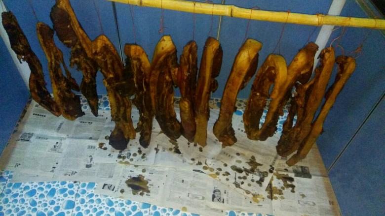 自制腊肉,然后把五花肉挂起来风干,一礼拜就可以吃啦😄(北方的冬天气温很低,屋里温度又很高。所以我把厨房窗户打开半扇,厨房的门关上 ,这样厨房的温度就低到10℃左右。反正我也不用厨房😄)