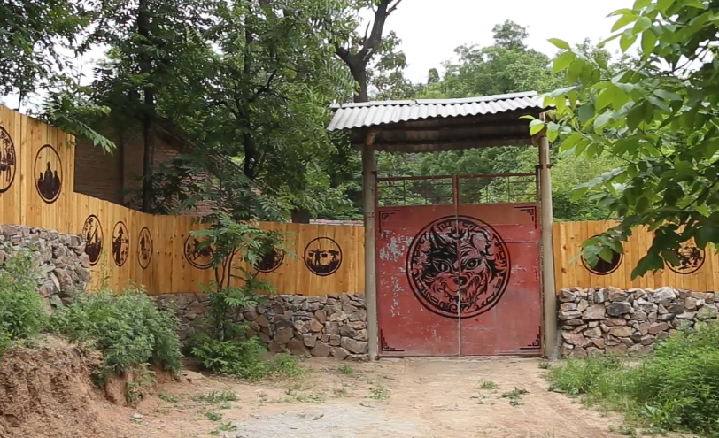 给大门上画两个神兽，晚上炒几个家常美味