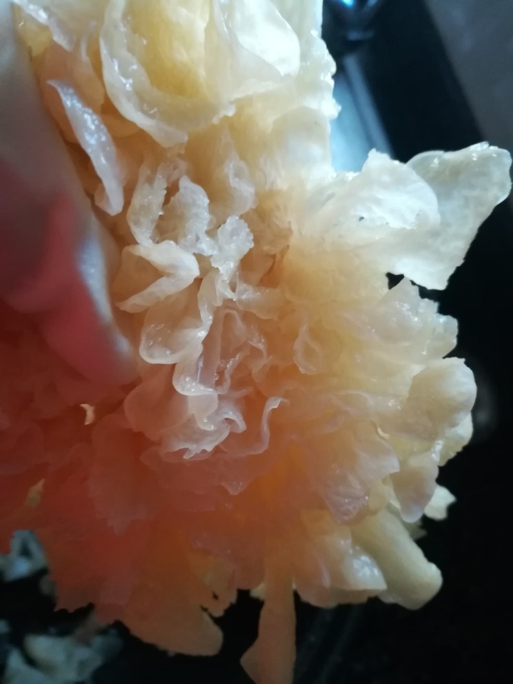 女人养颜美容的圣品,银耳桃胶红枣羹,发好的银耳