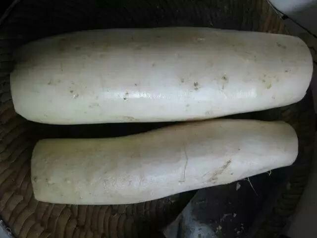 黄金萝卜丸子,准备好白萝卜,洗干净,去蒂,削皮。