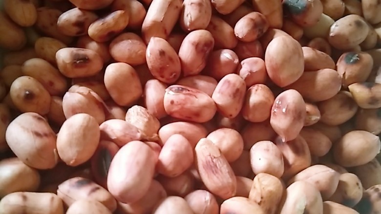 挂霜花生,小火炒5--8分钟,炒熟