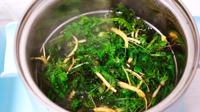 养生营养的荠菜虾皮鸡蛋汤,把荠菜清洗干净后,用东菱早餐机DL-3405的汤锅把荠菜进行焯水,焯过水的荠菜过冷水后沥干水分备用。
