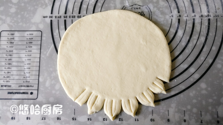 枣花馒头,30分钟后取出面团至案板上,稍微揉几下至表面光滑即可。揉好的面团分成3份,一份150克,一份50克,余下的做一份。150克的面团擀开成圆形,面片要有一定的厚度,在面片的边缘每隔2公分左右就切开一个小口,中间再切一条痕迹,每2条的边缘用手捏在一起。