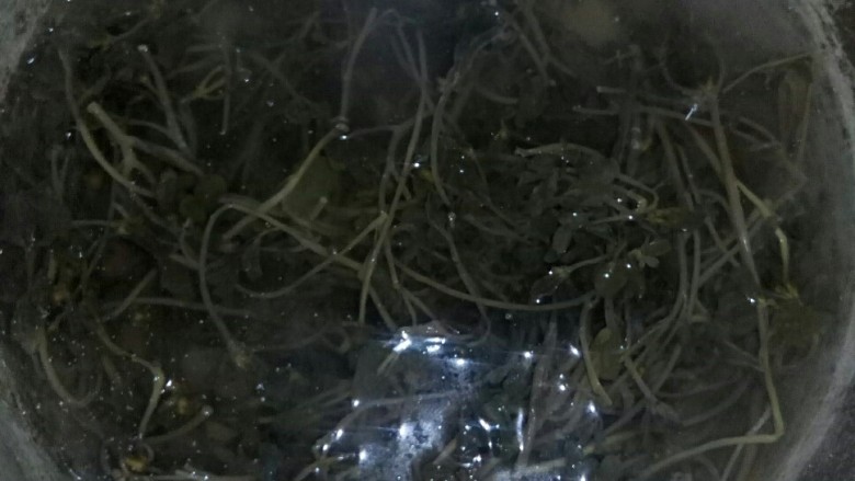 #年味集# 长寿馍馍,泡发好的马齿苋过水。