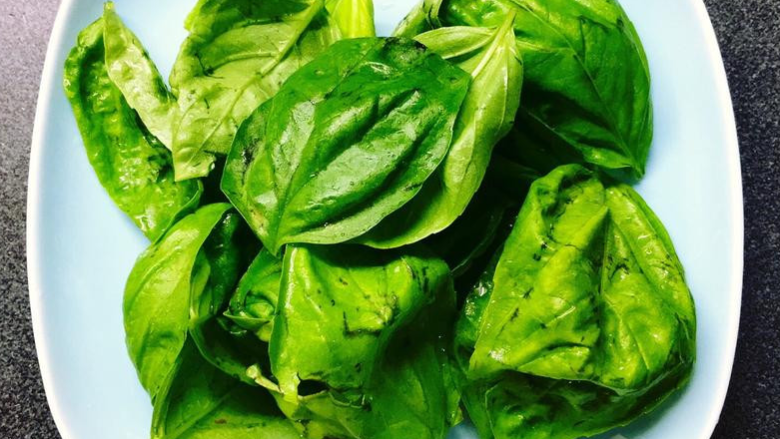 米其林牛小排餐,家里阳台种植的香草长的很茂盛
尤其萝勒更是欣欣向荣,正好摘下做青酱