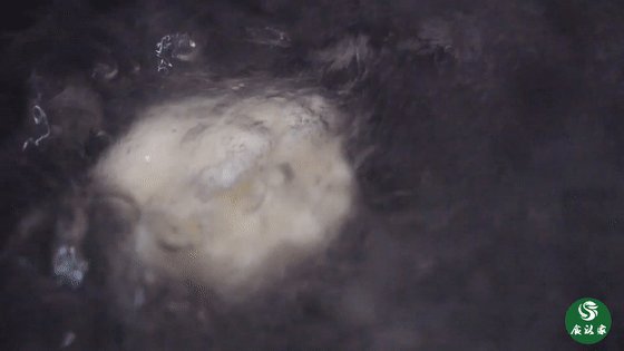 桂花核桃香汤圆,小团放入水中,煮沸,捞出。