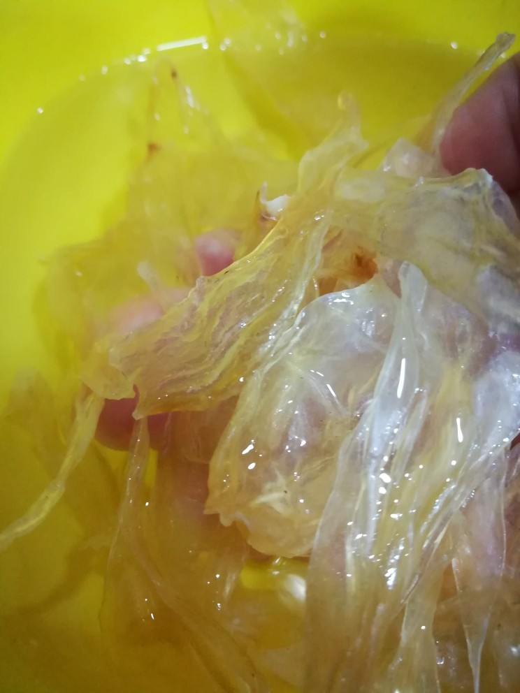 健脾补脑，美肤美颜汤,这次我是用竹叶胶，胶片薄，但是胶质浓郁。清洗后直接放进汤里面再煮30分钟就可以上锅。