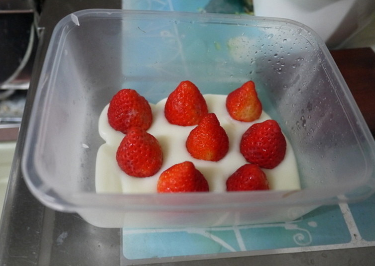 独创草莓奶冻,<a style='color:red;display:inline-block;' href='/shicai/ 592'>草莓</a>洗净擦干切去蒂一一插入(像种花一样)