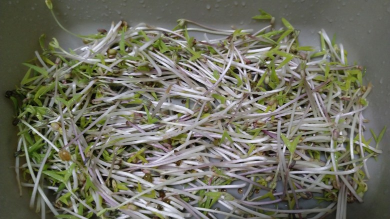 凉拌绿豆芽,冲洗干净。