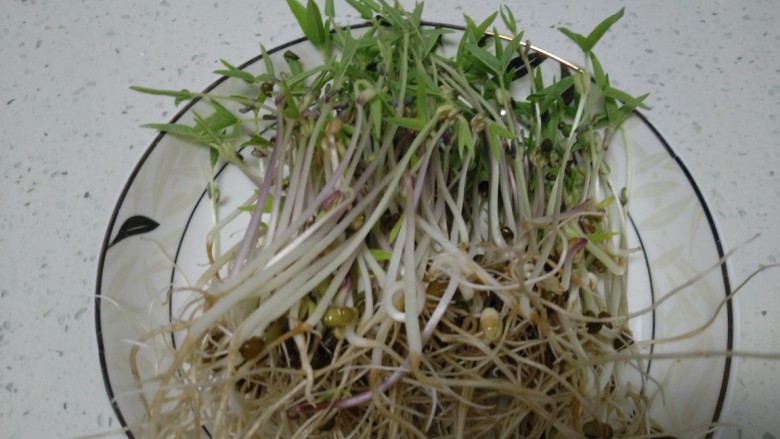 绿豆芽炒凉皮,放入盘中，仔细瞧瞧。