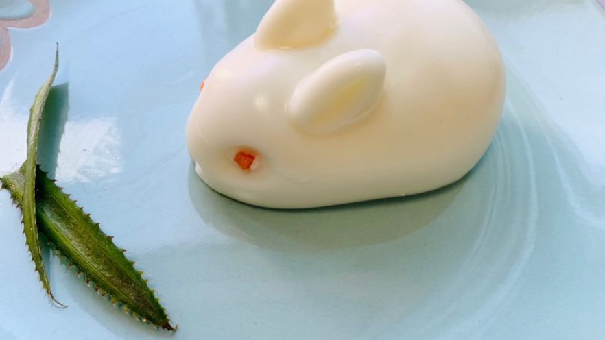 网红布丁兔🐰