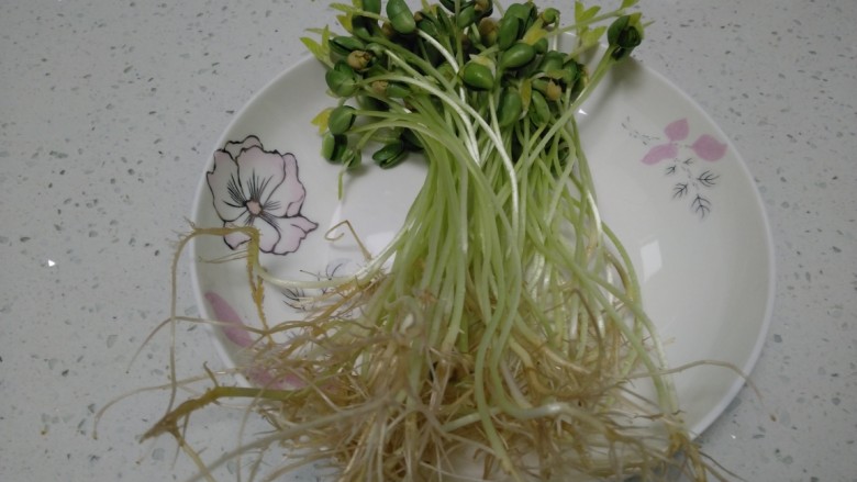 芽苗菜炒平菇,取芽苗菜 。