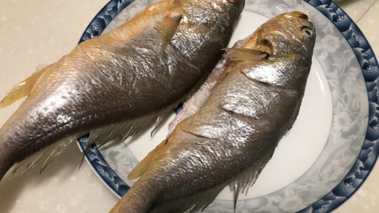 琐碎金鳞软玉膏➕家常红烧黄鱼,煎鱼之前,捡去生姜,用厨房纸巾把鱼身正反面的水吸干