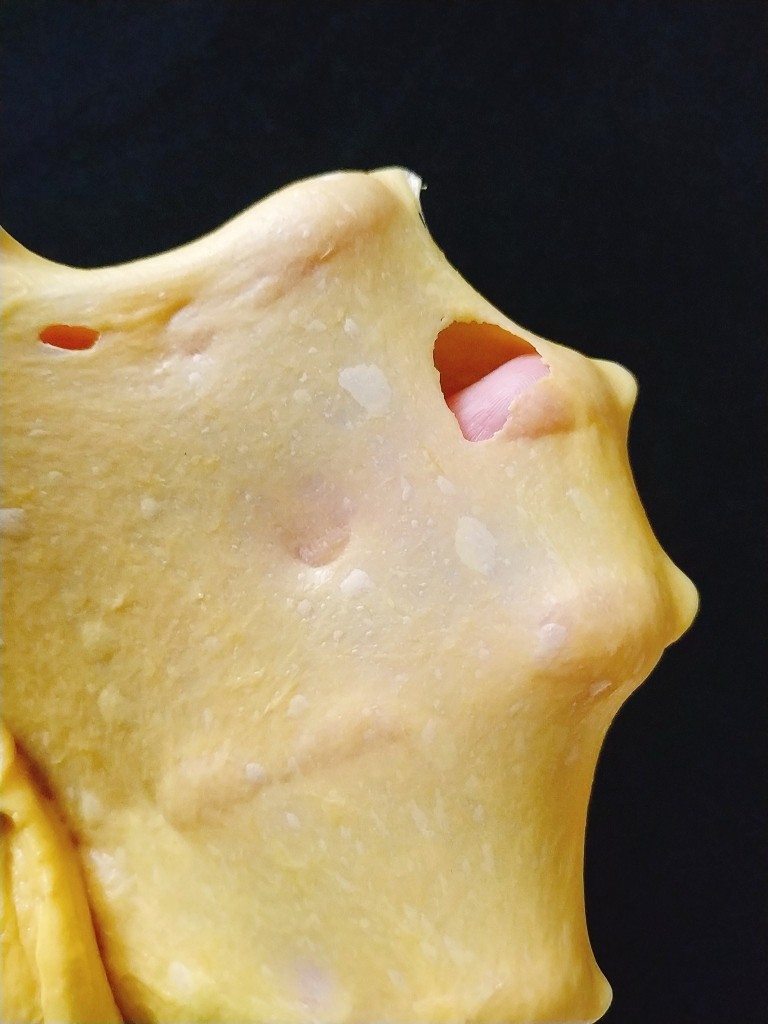 南瓜泥奶香吐司,揉到扩展状态,所谓扩展状态就是可以拉抻出厚的膜,但是用手指戳破,洞口边缘是锯齿状;