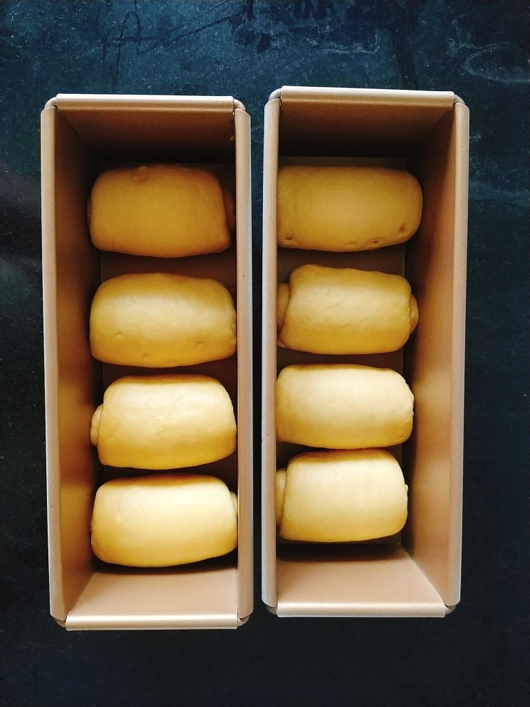 南瓜泥奶香吐司,每个300克吐司盒子里放四个卷好的面剂子,每个面剂子之间留好间距,给二次发酵留出来空间;