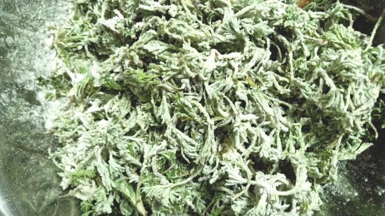 白蒿蒸麦饭,使白蒿上均匀的裹上面粉,不要太厚