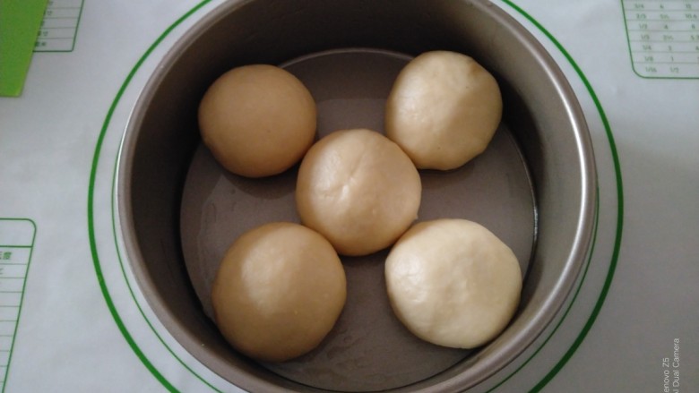 蒸豆沙面包,全部包好,放入抹油的模具中。