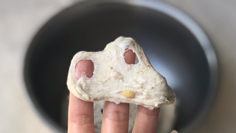 全麦果仁餐包,全麦粉基本没有什么筋性,大家不必纠结出膜的问题哈。