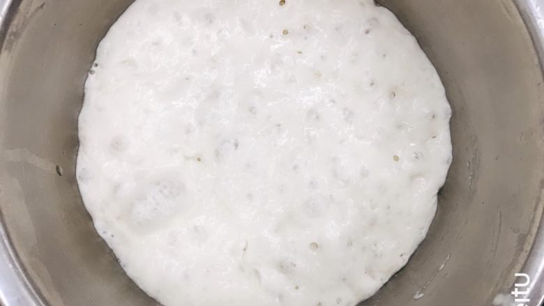 胡萝卜橙香蜂蜜面包,提前至少4小时制作波兰种,我一般提前一天晚上将波兰种材料混合均匀,盖盖子室温放置一夜,如果夏天室温高就先室温放2小时然后冷藏过夜。这种鼓大气泡的状态就是很理想的