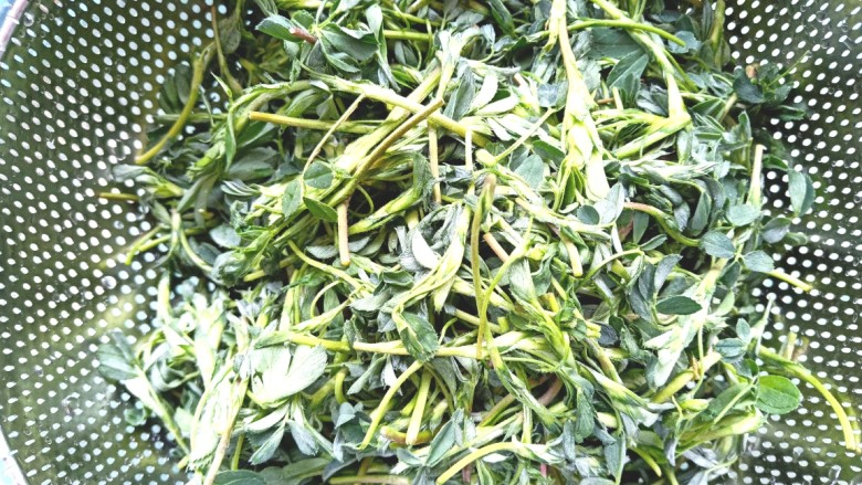 苜蓿菜饼,清香干净,控水