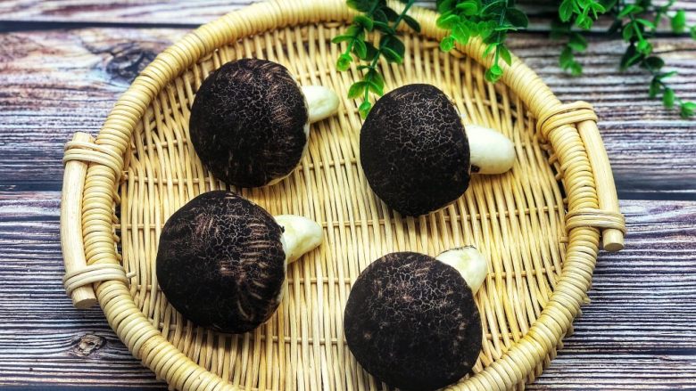 仿真香菇包,全部的都做好,是不是很像香菇啊!