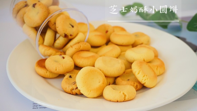 乳酪芝士饼干,然后分次+<a style='color:red;display:inline-block;' href='/shicai/ 15'>蛋黄</a>,每次加入都搅拌均匀,最后筛入过筛的低粉+奶粉翻拌至无干面粉颗粒+切碎的蔓越莓干