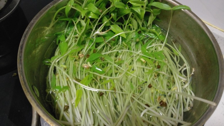 清炒水培芽苗菜、黄瓜丝,锅中放入适量水,水开后放入芽苗菜,焯水30秒。