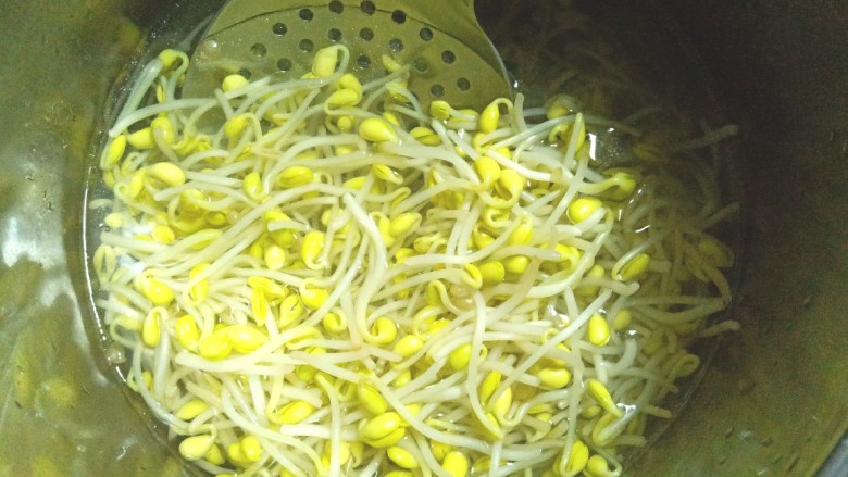 香肠韭菜炒黄豆芽,下开水中放少许盐烫一下,下锅5秒左右捞出
