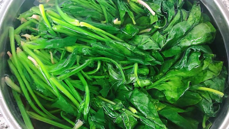 菠菜蒸蛋羹,焯好水的菠菜立即放入冷水中过凉后沥干水份