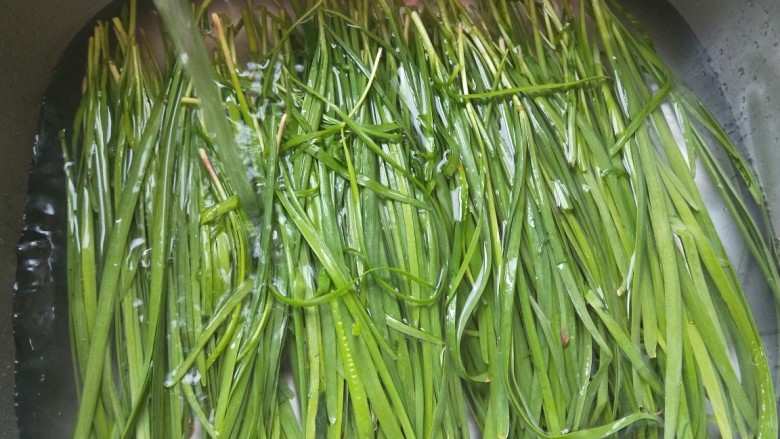 韭菜鸡蛋虾仁饺子,<a style='color:red;display:inline-block;' href='/shicai/ 116'>韭菜</a>摘干净,泡入水池20分钟后洗干净控水。