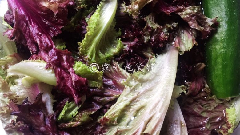 香煎巴沙鱼南瓜藜麦沙拉,生菜和黄瓜洗净后,用纯净水浸泡一会儿。