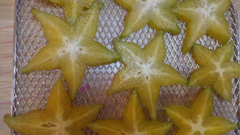 果干冰淇淋,将水果片平铺在摩飞干果机的烤网上,这个新款的干果机,能四层同烤!烤出来的水果干不含防腐剂和添加剂!