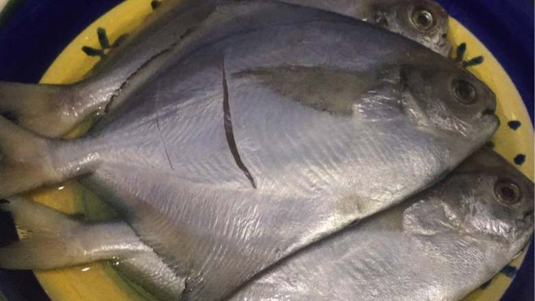 广式干煎白鲳鱼,把鱼用刀面平压一下，这样可以让鱼体内的水带点出来，煎起来更容易脆，然后放盐腌制（可以放点酒去去鱼腥味）但我是海里人所以就免了，腌制大概20分钟-30分钟以上