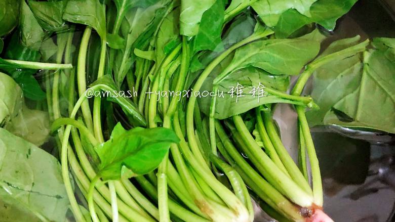 蚝油蒜香菠菜,首先把菠菜清洗干净,先把根部切掉,菠菜先反复清洗几次,因为菠菜根部泥比较多