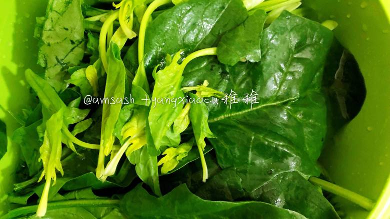 蚝油蒜香菠菜,清洗干净的菠菜,长的菠菜叶可以切短点,这样子孩子吃起来比较容易些