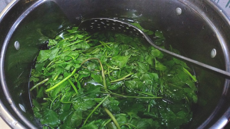 #爽口凉菜#凉拌野菜水芹菜,烧开水,焯水芹菜,捞出过凉水