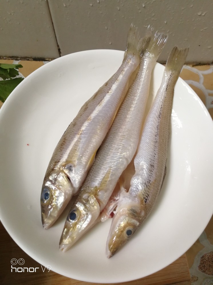 沙丁鱼粥,沙丁鱼,去掉鳞和内脏(买鱼的时候可以在市场杀,省略这步骤)