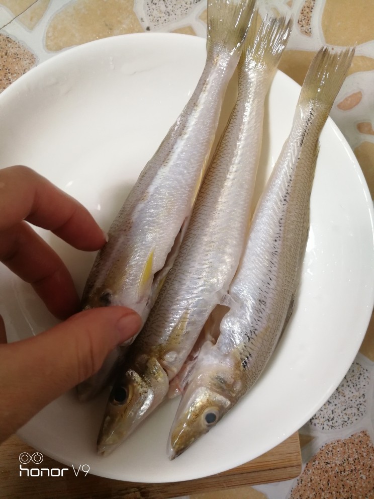 沙丁鱼粥,鱼洗干净(买鱼要看眼睛,要选眼睛亮)