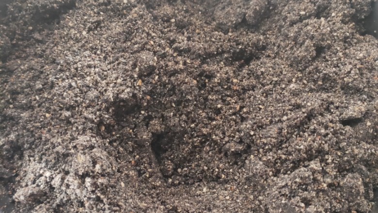 蜂蜜芝麻球,将<a style='color:red;display:inline-block;' href='/shicai/ 668'>黑芝麻</a>打磨成粉末