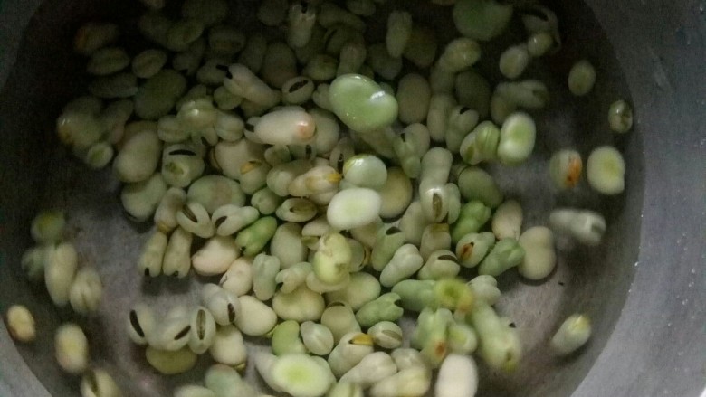 金陵茶点一蚕豆糕,锅内加水放胡豆,煮砍。