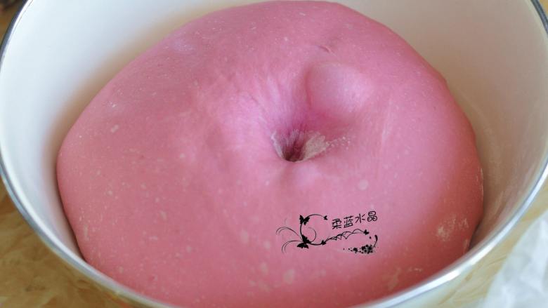蔓越莓椰蓉乳酪软欧,发酵40分钟左右,手指按下不回缩。