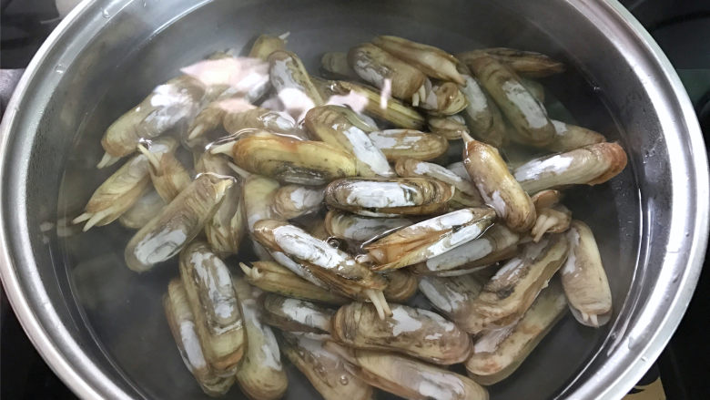 葱姜蛏子,锅中倒入适量水,煮开,加入一点点盐,放入清洗干净的蛏子,煮至蛏子开口后捞出放入凉水中。