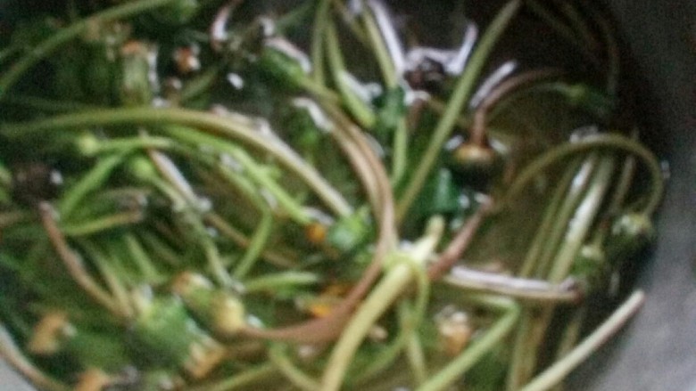 蒲公英烘蛋,蒲公英焯水,去除亚硝酸盐。
