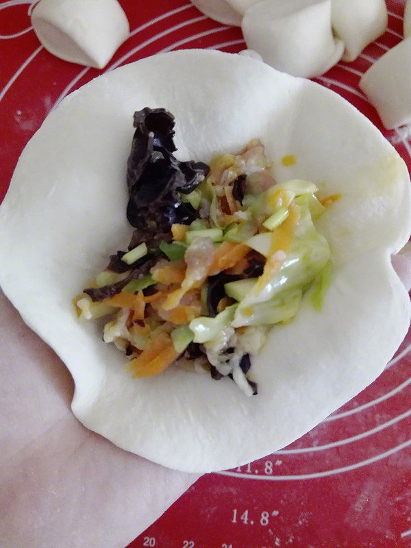 肉包子,取一张面皮,放入适量有馅料,从一面开始摺起,收口,多包几个就会了;