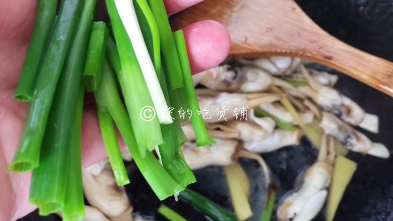 金牌葱姜巧烹蛏,加入葱叶段,快速的翻炒均匀,关火出锅。