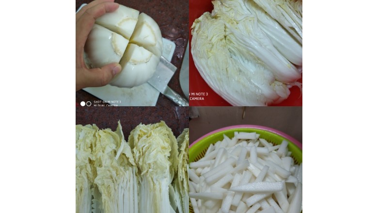 爱上辣白菜, 首先要挑好的<a style='color:red;display:inline-block;' href='/shicai/ 113'>大白菜</a>,身重没黑点的最好!把白菜底部切十字后用手撕开,叶子每片翻开撒上盐,放盘里用重东西压着倒入淡盐水腌12小时!<a style='color:red;display:inline-block;' href='/shicai/ 24'>萝卜</a>切小段撒盐腌制5小时出水!把腌制好的白菜<a style='color:red;display:inline-block;' href='/shicai/ 24'>萝卜</a>洗干净沥干水份等待抹酱!