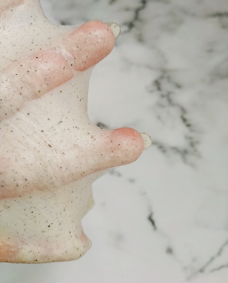 黑芝麻全麦核桃红枣软欧包~~安安原创,拉抻出薄手膜是为了检查筋度,此时的面团应该非常有拉抻力韧性好;
