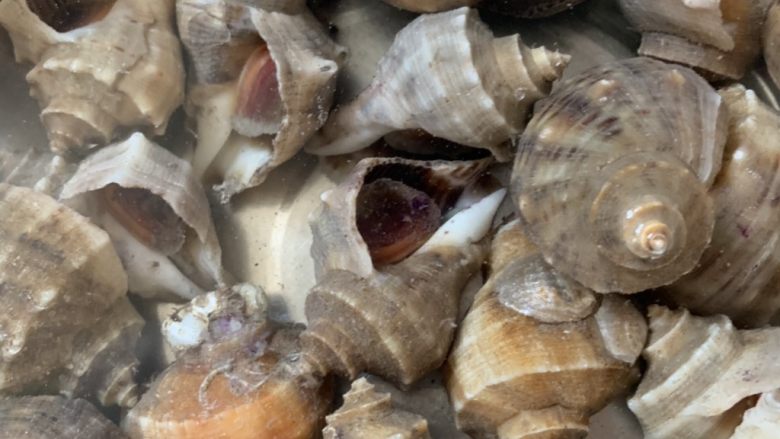 蒜蓉粉丝蒸扇贝,洗(海鲜大餐)