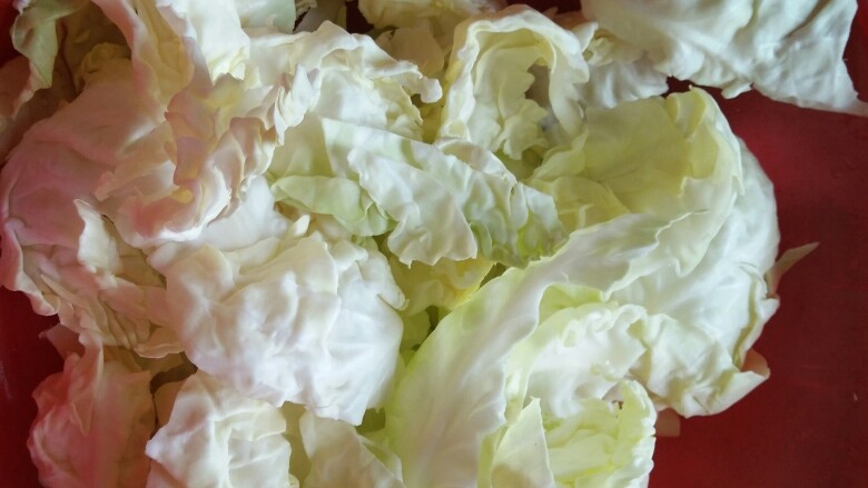 手撕包菜,<a style='color:red;display:inline-block;' href='/shicai/ 3511'>包菜</a>用手掰成一片片,清洗干净